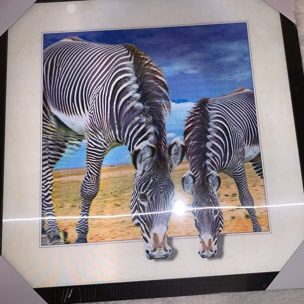 Zebra wall decor 🦓